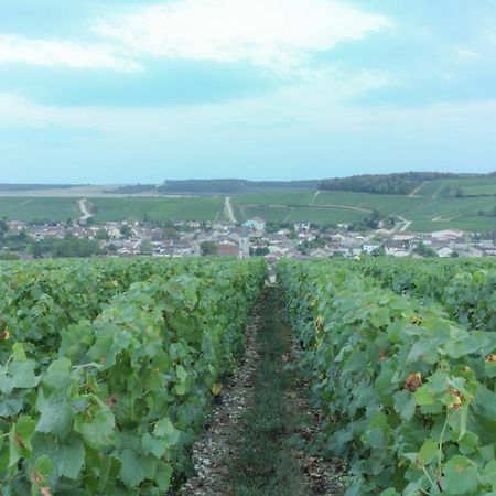 Une Parenthese En Champagne Jaucourt Luaran gambar
