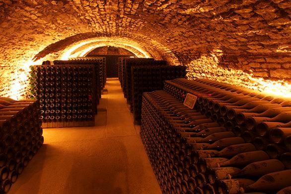 Une Parenthese En Champagne Jaucourt Luaran gambar
