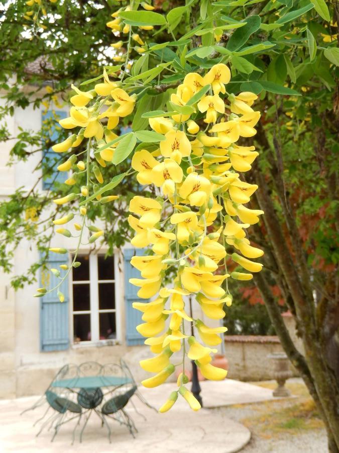 Une Parenthese En Champagne Jaucourt Luaran gambar